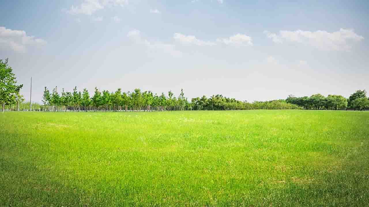 7.5 Acre Land For Sale On Bhera Miani Road Malakwal